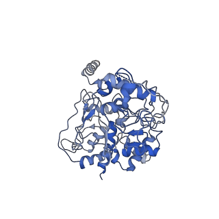 32262_7w2j_C_v1-2
Cryo-EM Structure of Membrane-bound Fructose Dehydrogenase from Gluconobacter japonicus