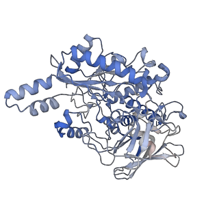 32262_7w2j_D_v1-2
Cryo-EM Structure of Membrane-bound Fructose Dehydrogenase from Gluconobacter japonicus
