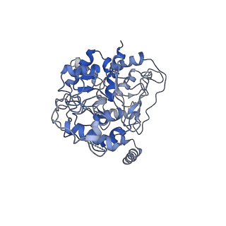 32262_7w2j_F_v1-2
Cryo-EM Structure of Membrane-bound Fructose Dehydrogenase from Gluconobacter japonicus