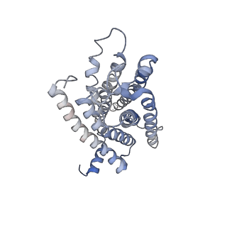 32268_7w2z_R_v1-1
Cryo-EM structure of the ghrelin-bound human ghrelin receptor-Go complex