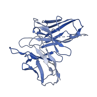 32268_7w2z_S_v1-1
Cryo-EM structure of the ghrelin-bound human ghrelin receptor-Go complex