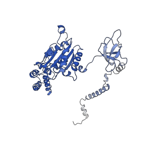 32272_7w37_A_v1-2
Structure of USP14-bound human 26S proteasome in state EA1_UBL