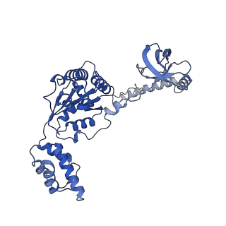 32272_7w37_B_v1-2
Structure of USP14-bound human 26S proteasome in state EA1_UBL