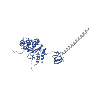 32272_7w37_F_v1-2
Structure of USP14-bound human 26S proteasome in state EA1_UBL