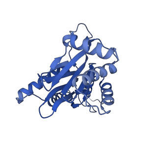 32272_7w37_G_v1-2
Structure of USP14-bound human 26S proteasome in state EA1_UBL