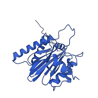 32272_7w37_H_v1-2
Structure of USP14-bound human 26S proteasome in state EA1_UBL