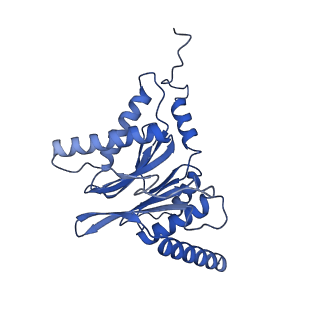 32272_7w37_I_v1-2
Structure of USP14-bound human 26S proteasome in state EA1_UBL