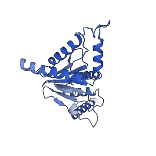 32272_7w37_J_v1-2
Structure of USP14-bound human 26S proteasome in state EA1_UBL