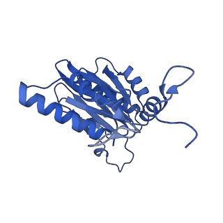 32272_7w37_K_v1-2
Structure of USP14-bound human 26S proteasome in state EA1_UBL