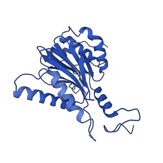 32272_7w37_L_v1-2
Structure of USP14-bound human 26S proteasome in state EA1_UBL