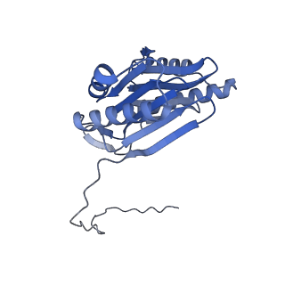 32272_7w37_O_v1-2
Structure of USP14-bound human 26S proteasome in state EA1_UBL