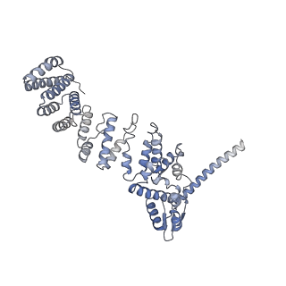 32272_7w37_W_v1-2
Structure of USP14-bound human 26S proteasome in state EA1_UBL