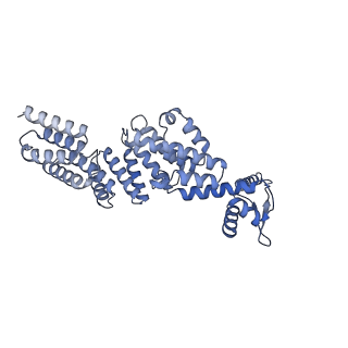 32272_7w37_X_v1-2
Structure of USP14-bound human 26S proteasome in state EA1_UBL
