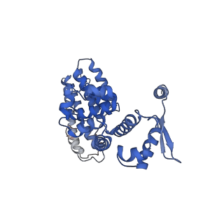 32272_7w37_Y_v1-2
Structure of USP14-bound human 26S proteasome in state EA1_UBL