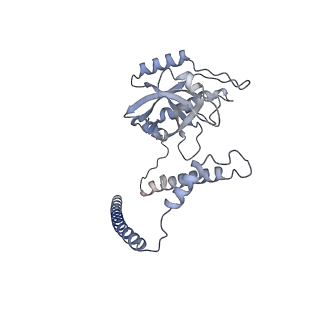 32272_7w37_Z_v1-2
Structure of USP14-bound human 26S proteasome in state EA1_UBL