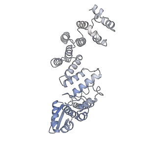 32272_7w37_a_v1-2
Structure of USP14-bound human 26S proteasome in state EA1_UBL