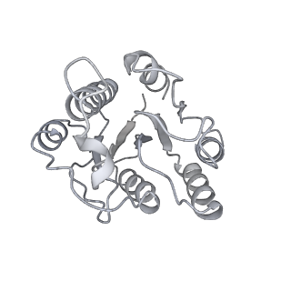 32272_7w37_b_v1-2
Structure of USP14-bound human 26S proteasome in state EA1_UBL