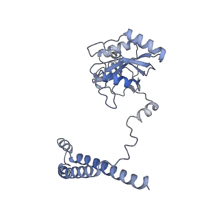 32272_7w37_c_v1-2
Structure of USP14-bound human 26S proteasome in state EA1_UBL