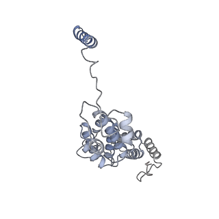 32272_7w37_d_v1-2
Structure of USP14-bound human 26S proteasome in state EA1_UBL