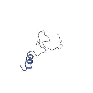 32272_7w37_e_v1-2
Structure of USP14-bound human 26S proteasome in state EA1_UBL