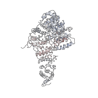 32272_7w37_f_v1-2
Structure of USP14-bound human 26S proteasome in state EA1_UBL
