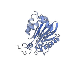 32272_7w37_g_v1-2
Structure of USP14-bound human 26S proteasome in state EA1_UBL