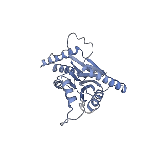 32272_7w37_i_v1-2
Structure of USP14-bound human 26S proteasome in state EA1_UBL
