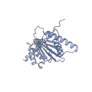 32272_7w37_j_v1-2
Structure of USP14-bound human 26S proteasome in state EA1_UBL