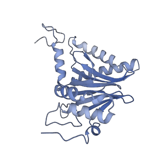 32272_7w37_l_v1-2
Structure of USP14-bound human 26S proteasome in state EA1_UBL