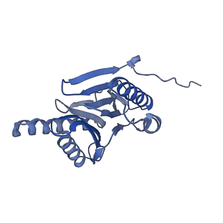 32272_7w37_n_v1-2
Structure of USP14-bound human 26S proteasome in state EA1_UBL