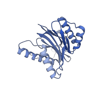 32272_7w37_o_v1-2
Structure of USP14-bound human 26S proteasome in state EA1_UBL