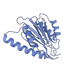 32272_7w37_p_v1-2
Structure of USP14-bound human 26S proteasome in state EA1_UBL