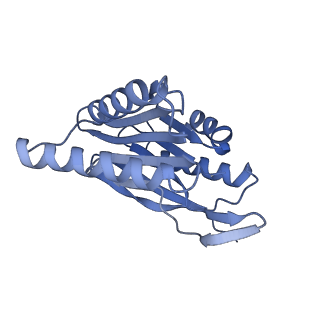 32272_7w37_q_v1-2
Structure of USP14-bound human 26S proteasome in state EA1_UBL