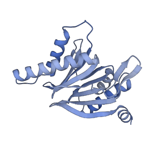 32272_7w37_r_v1-2
Structure of USP14-bound human 26S proteasome in state EA1_UBL