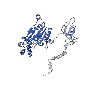 32273_7w38_A_v1-2
Structure of USP14-bound human 26S proteasome in state EA2.0_UBL