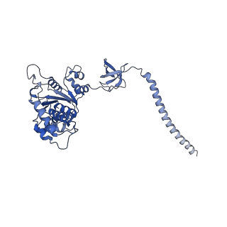 32273_7w38_C_v1-2
Structure of USP14-bound human 26S proteasome in state EA2.0_UBL