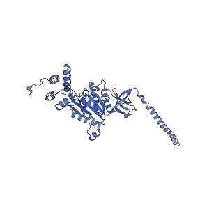 32273_7w38_D_v1-2
Structure of USP14-bound human 26S proteasome in state EA2.0_UBL