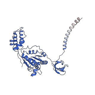 32273_7w38_E_v1-2
Structure of USP14-bound human 26S proteasome in state EA2.0_UBL