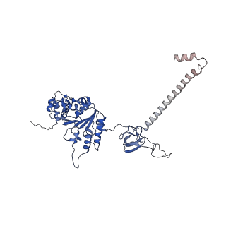 32273_7w38_F_v1-2
Structure of USP14-bound human 26S proteasome in state EA2.0_UBL