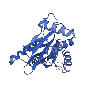 32273_7w38_G_v1-2
Structure of USP14-bound human 26S proteasome in state EA2.0_UBL