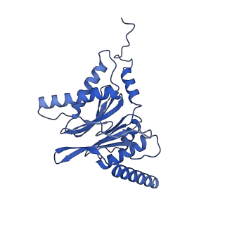 32273_7w38_I_v1-2
Structure of USP14-bound human 26S proteasome in state EA2.0_UBL
