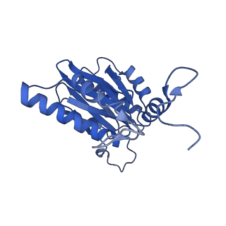 32273_7w38_K_v1-2
Structure of USP14-bound human 26S proteasome in state EA2.0_UBL