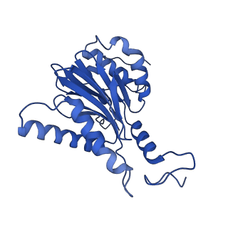 32273_7w38_L_v1-2
Structure of USP14-bound human 26S proteasome in state EA2.0_UBL