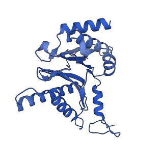32273_7w38_M_v1-2
Structure of USP14-bound human 26S proteasome in state EA2.0_UBL