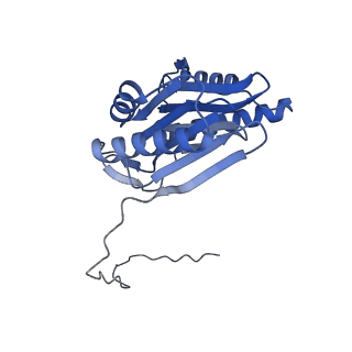 32273_7w38_O_v1-2
Structure of USP14-bound human 26S proteasome in state EA2.0_UBL