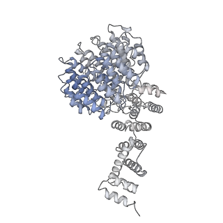 32273_7w38_U_v1-2
Structure of USP14-bound human 26S proteasome in state EA2.0_UBL