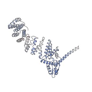 32273_7w38_W_v1-2
Structure of USP14-bound human 26S proteasome in state EA2.0_UBL
