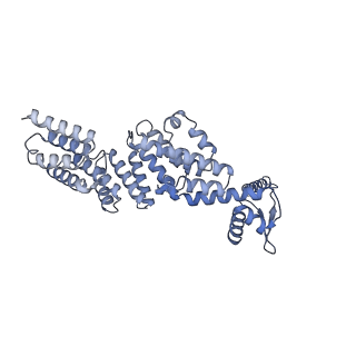 32273_7w38_X_v1-2
Structure of USP14-bound human 26S proteasome in state EA2.0_UBL