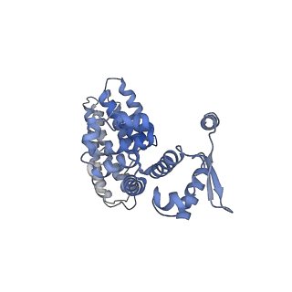 32273_7w38_Y_v1-2
Structure of USP14-bound human 26S proteasome in state EA2.0_UBL