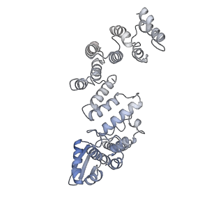 32273_7w38_a_v1-2
Structure of USP14-bound human 26S proteasome in state EA2.0_UBL